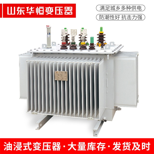 S13-10000/35新罗新罗新罗电力变压器